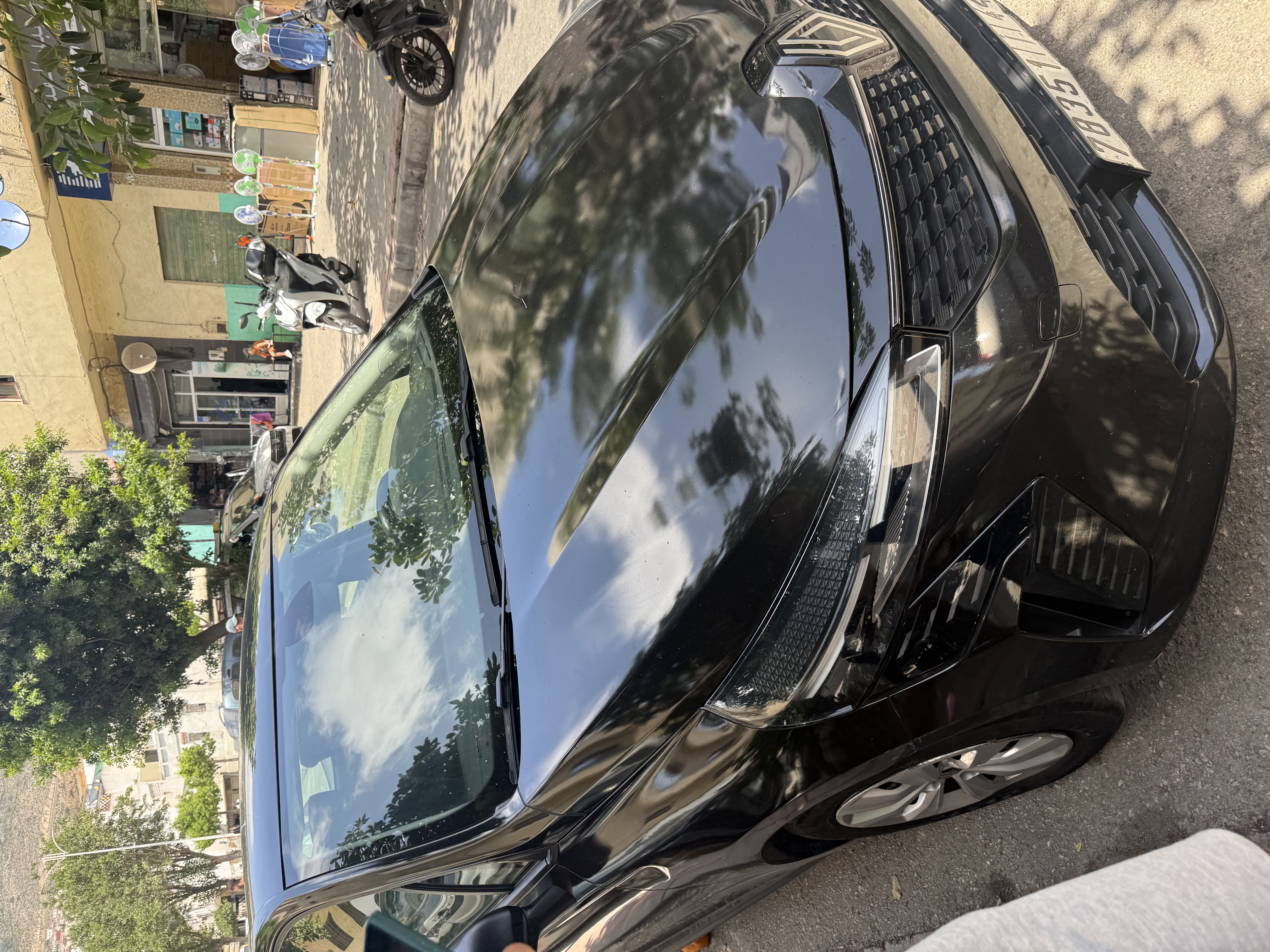 Clio